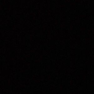 Meet your Posher, Sasha